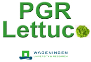 PGRLettuce